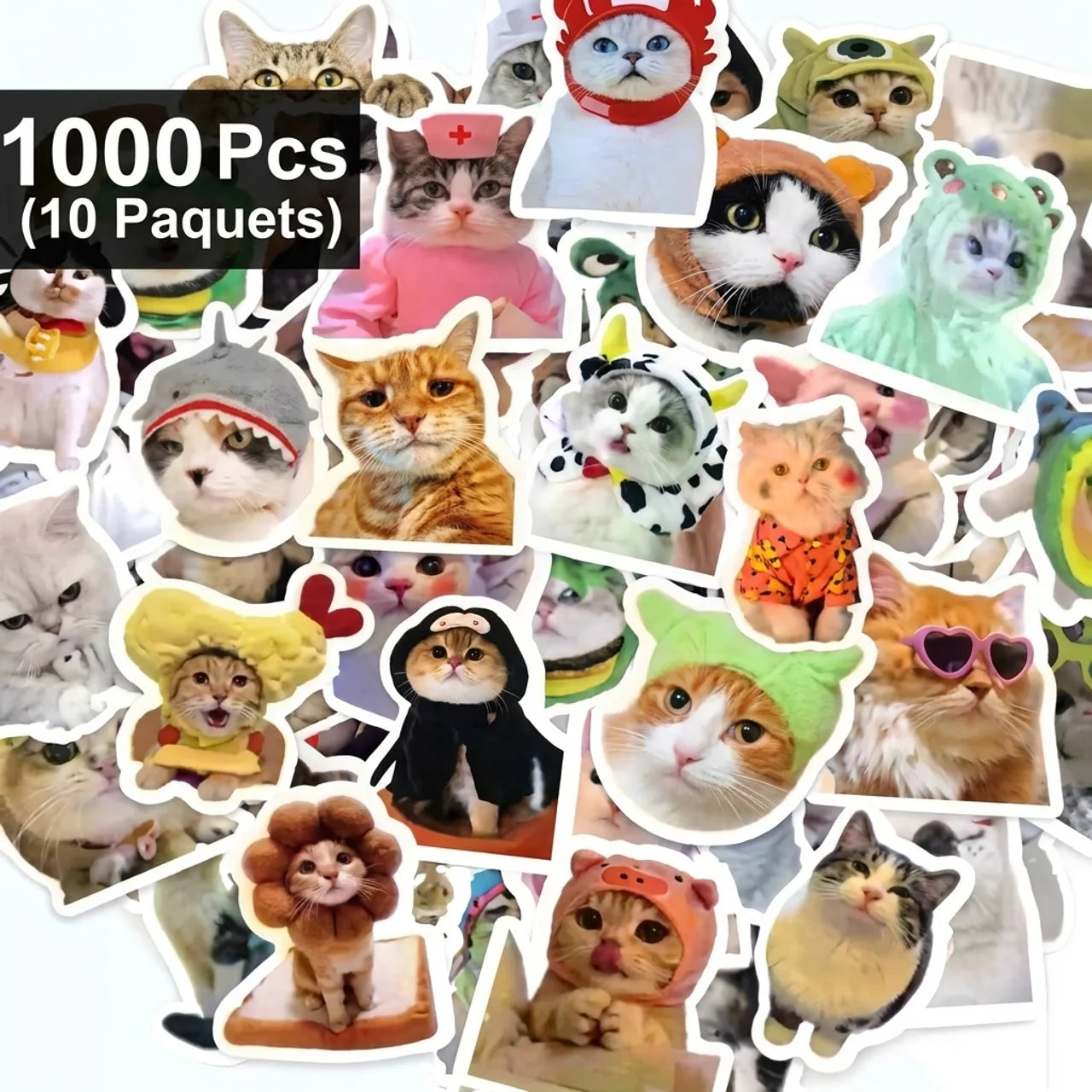 Autocollants Chats Drôles Stickers Kawaii pour Ordinateur Téléphone Gourde Journal & DIY