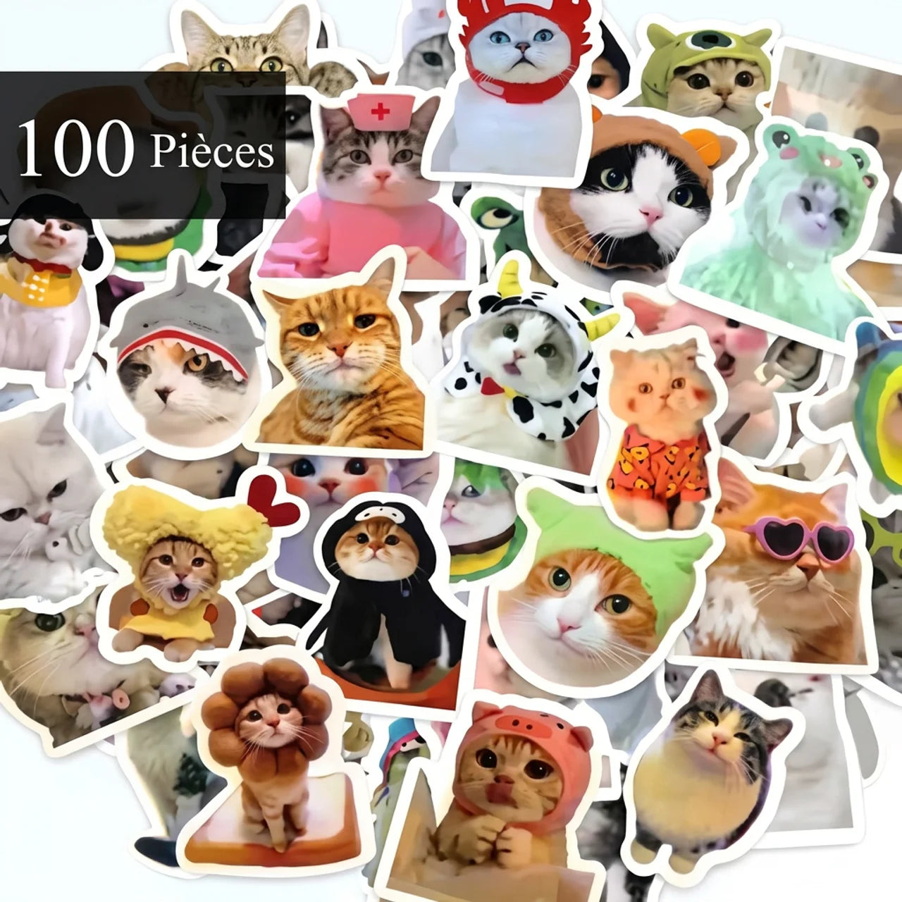 Autocollants Chats Drôles Stickers Kawaii pour Ordinateur Téléphone Gourde Journal & DIY