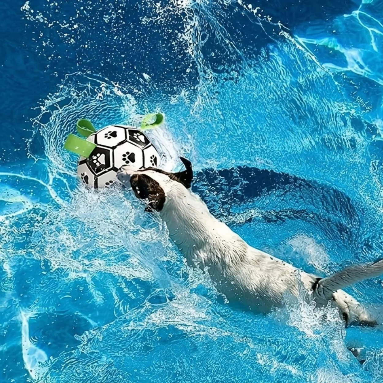 Ballon de Football Interactif pour Chien avec Poignées de Préhension