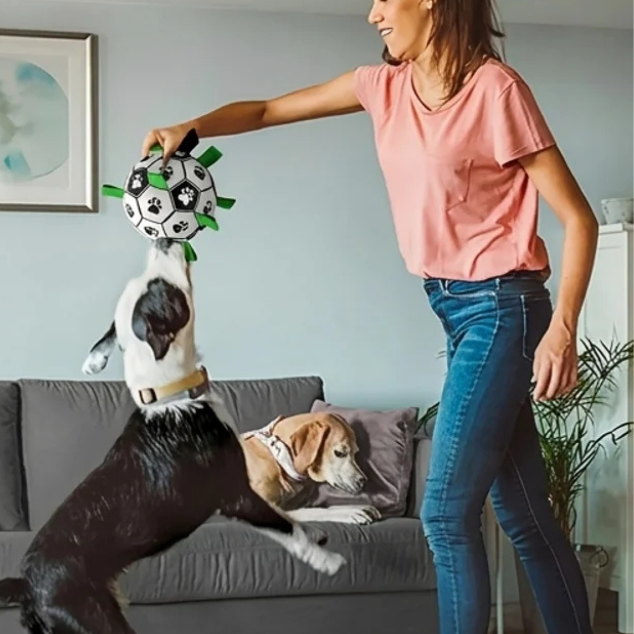 Ballon de Football Interactif pour Chien avec Poignées de Préhension