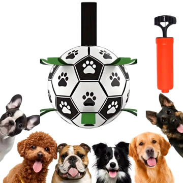 Ballon de Football Interactif pour Chien avec Poignées de Préhension