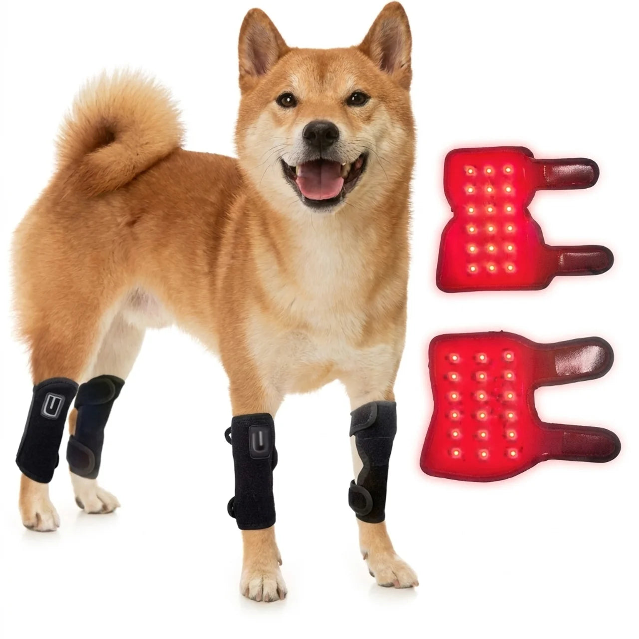 Bandage de Luminothérapie Rouge & Infrarouge pour Chien et Chat Pattes Avant & Arrière