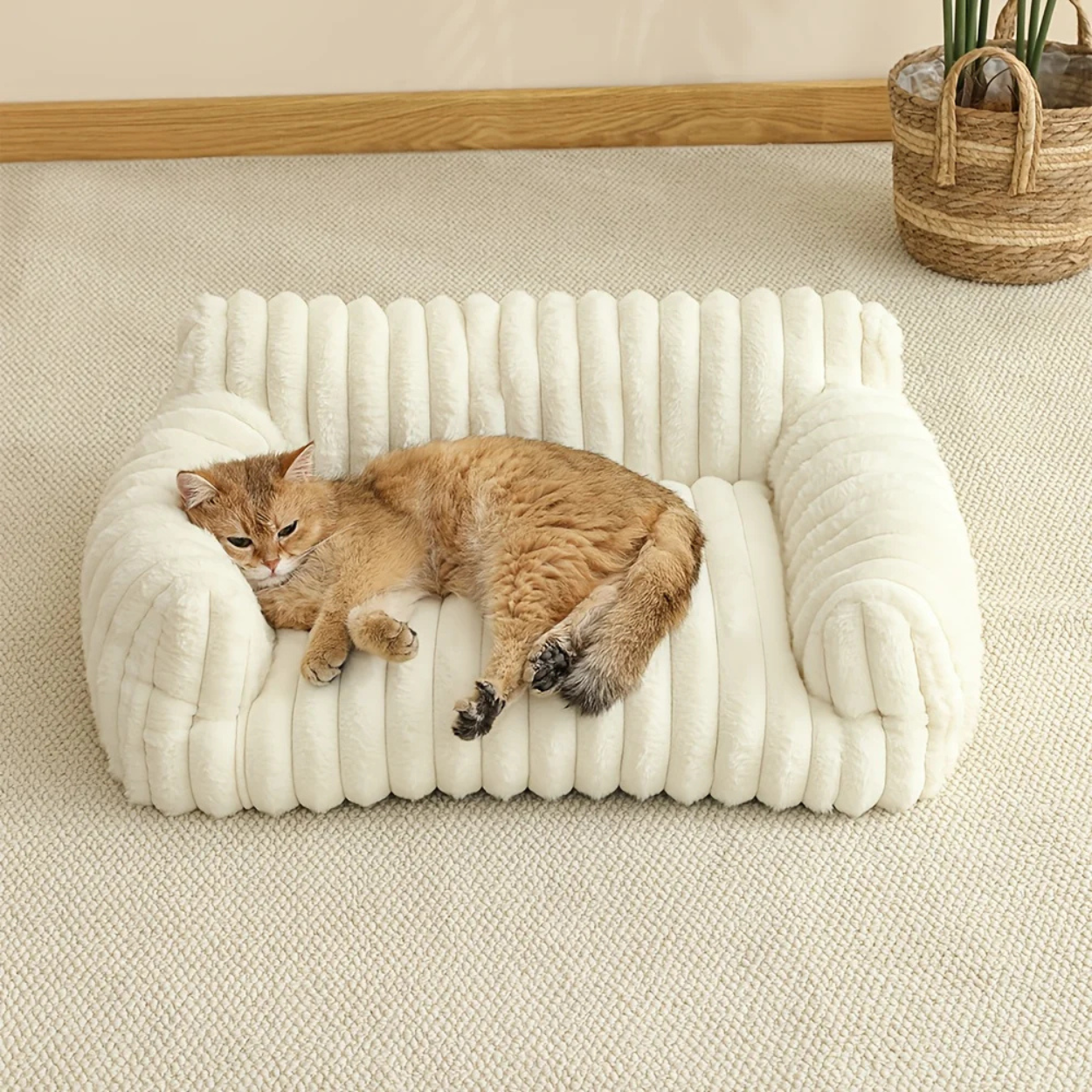 Canapé Orthopédique pour Chat Ultra Moelleux