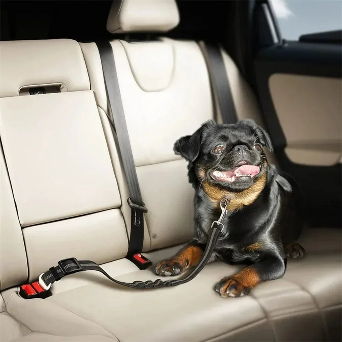 Ceinture Sécurité Chien Voiture