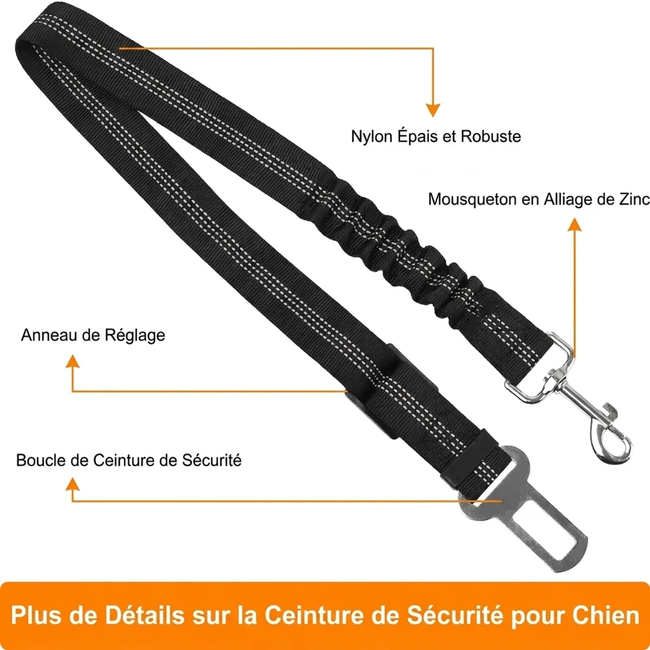 Ceinture Sécurité Chien Voiture