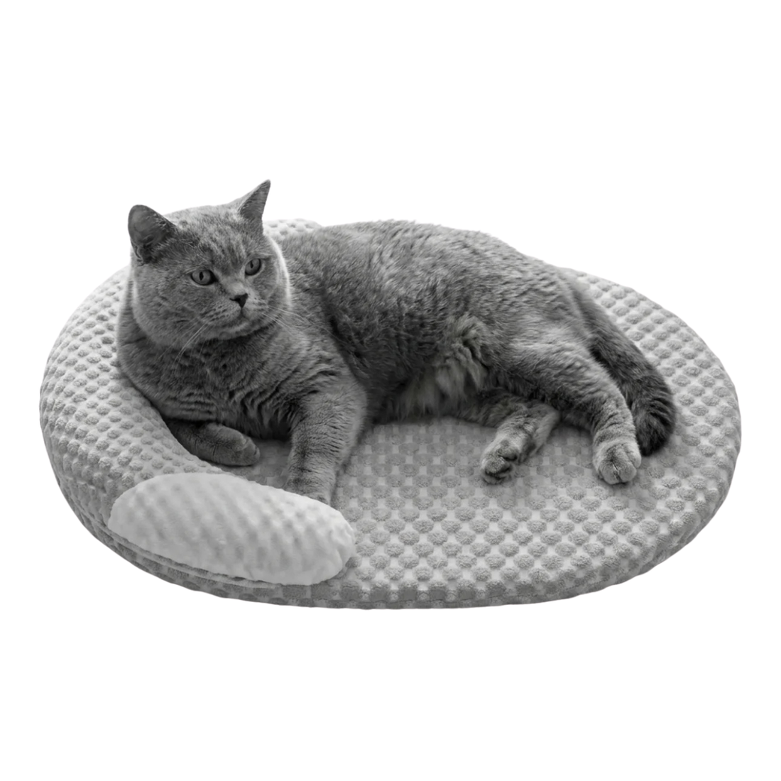 Tapis Rafraîchissant pour Chien et Chat à 5 Couches Orthopédique