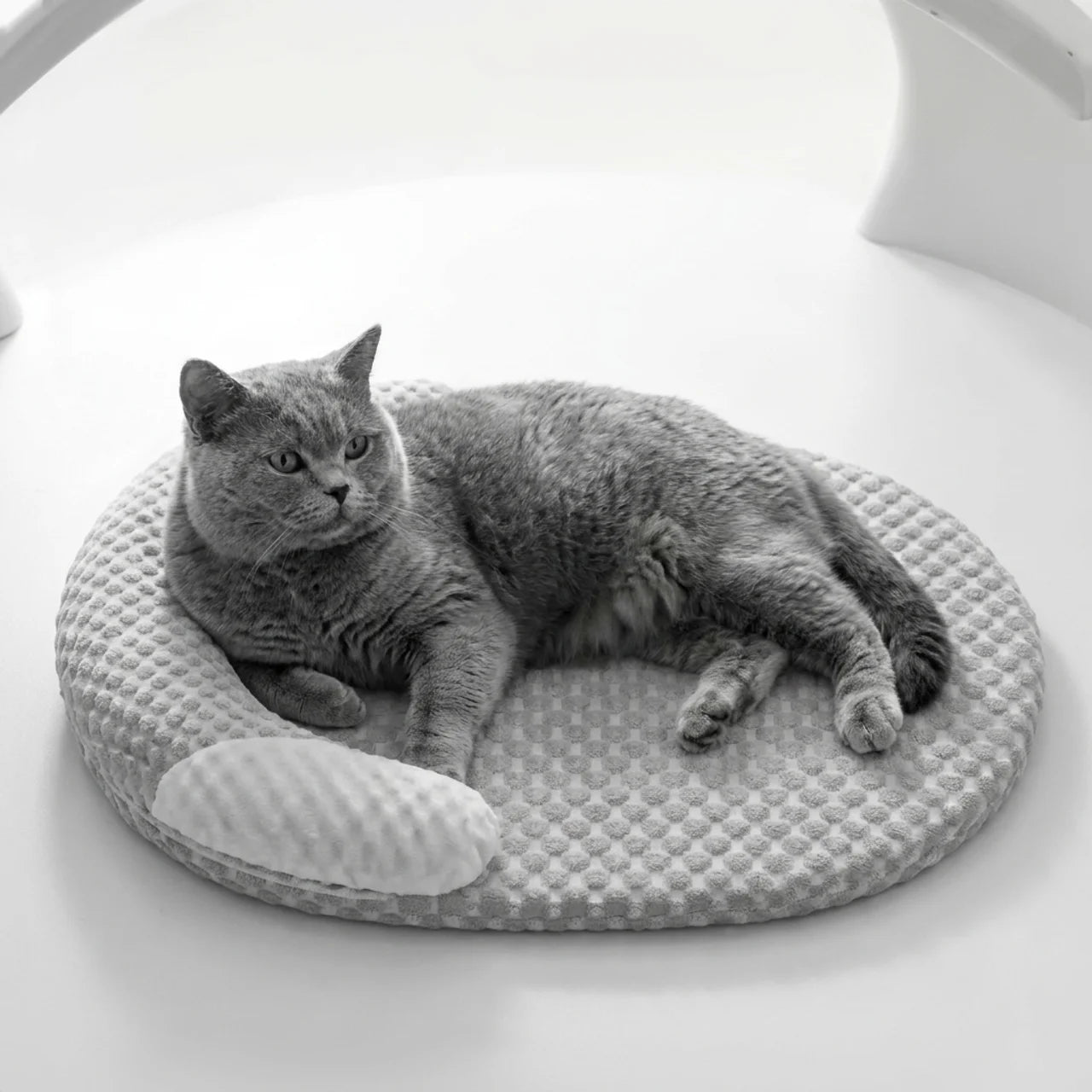 Tapis Rafraîchissant pour Chien et Chat à 5 Couches Orthopédique