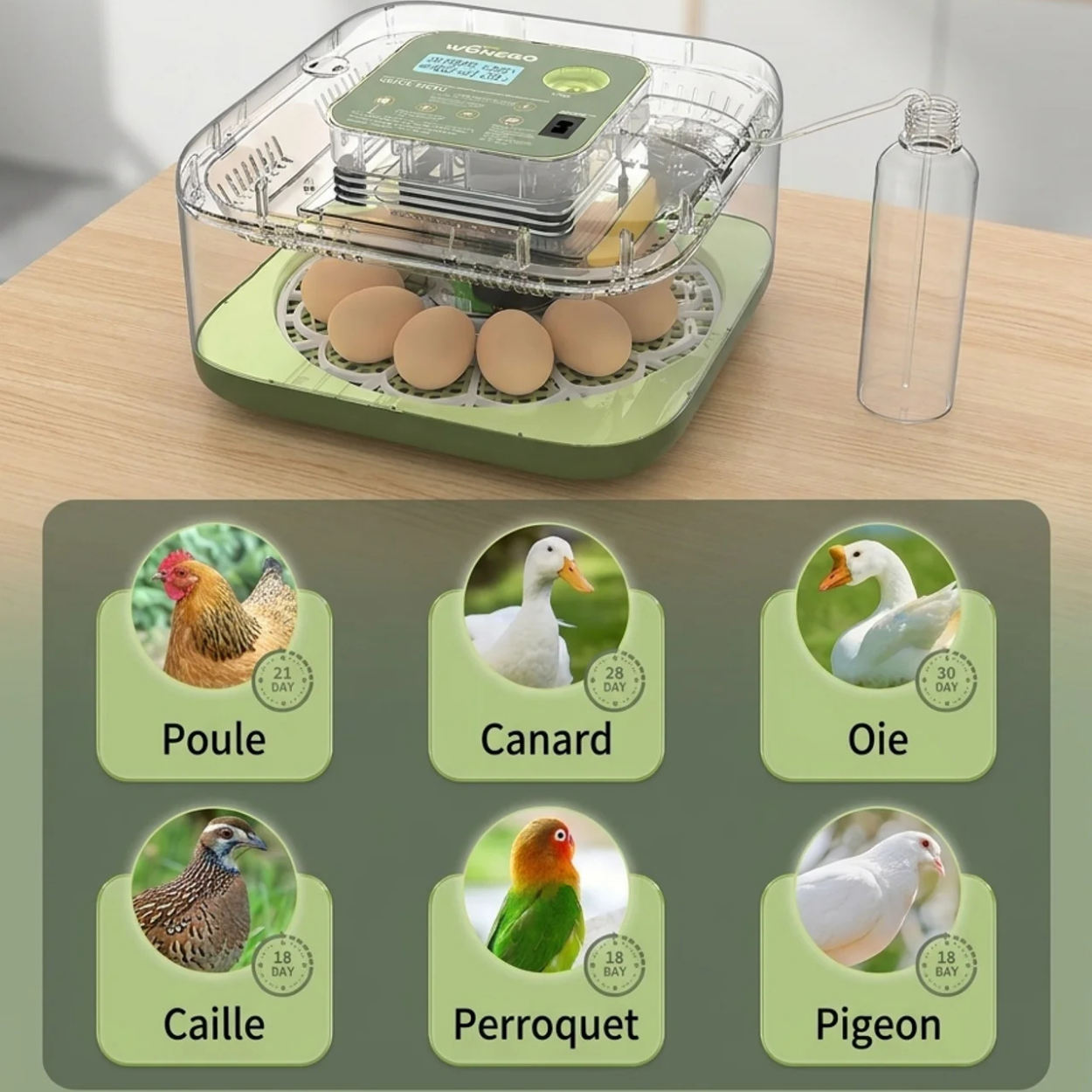 Couveuse Automatique 12 Œufs avec Retournement Automatique