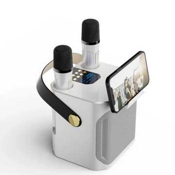 Enceinte Karaoké Bluetooth Portable Haute Puissance