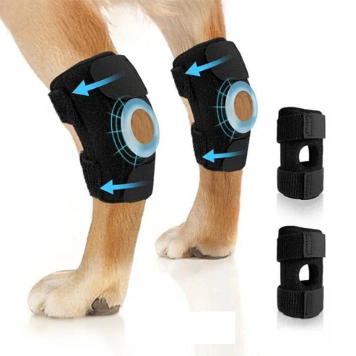 Genouillère de Soutien Articulaire pour Chien