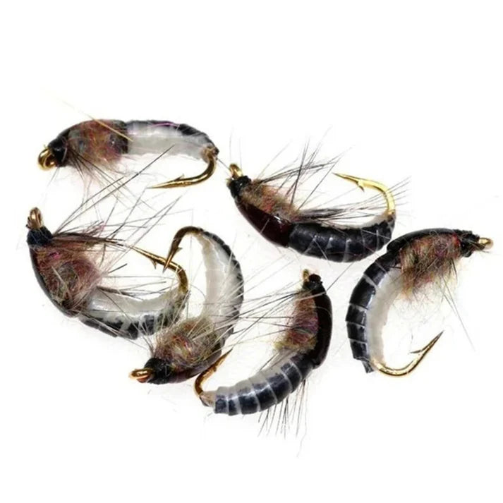 Kit Mouches Pêche Truite