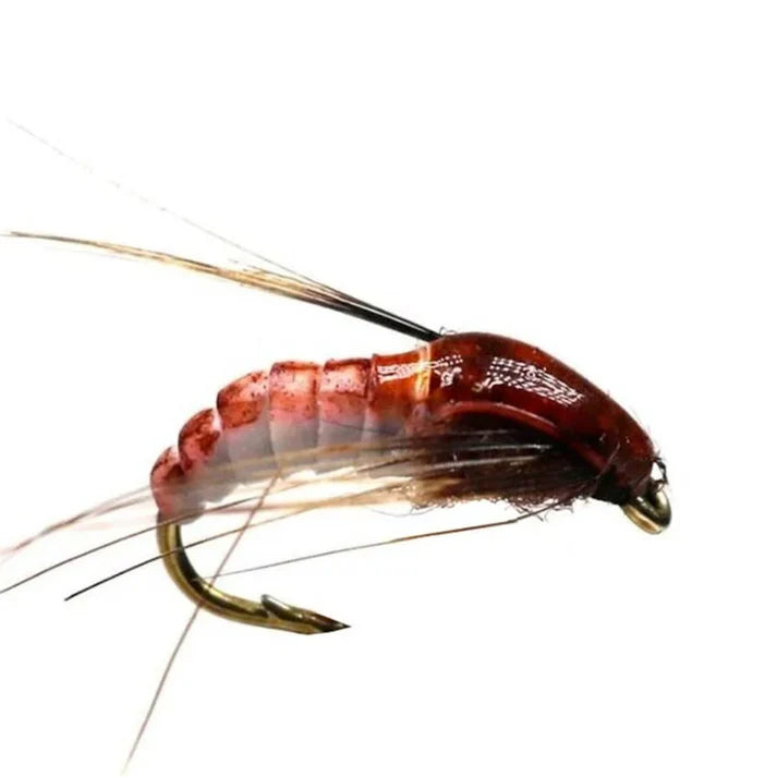 Kit Mouches Pêche Truite