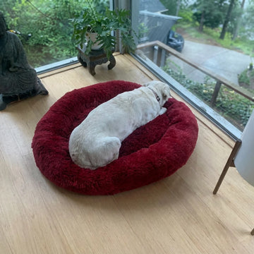 Lit Apaisant pour Chien et Chat Forme Beignet Orthopédique Anti Anxiété