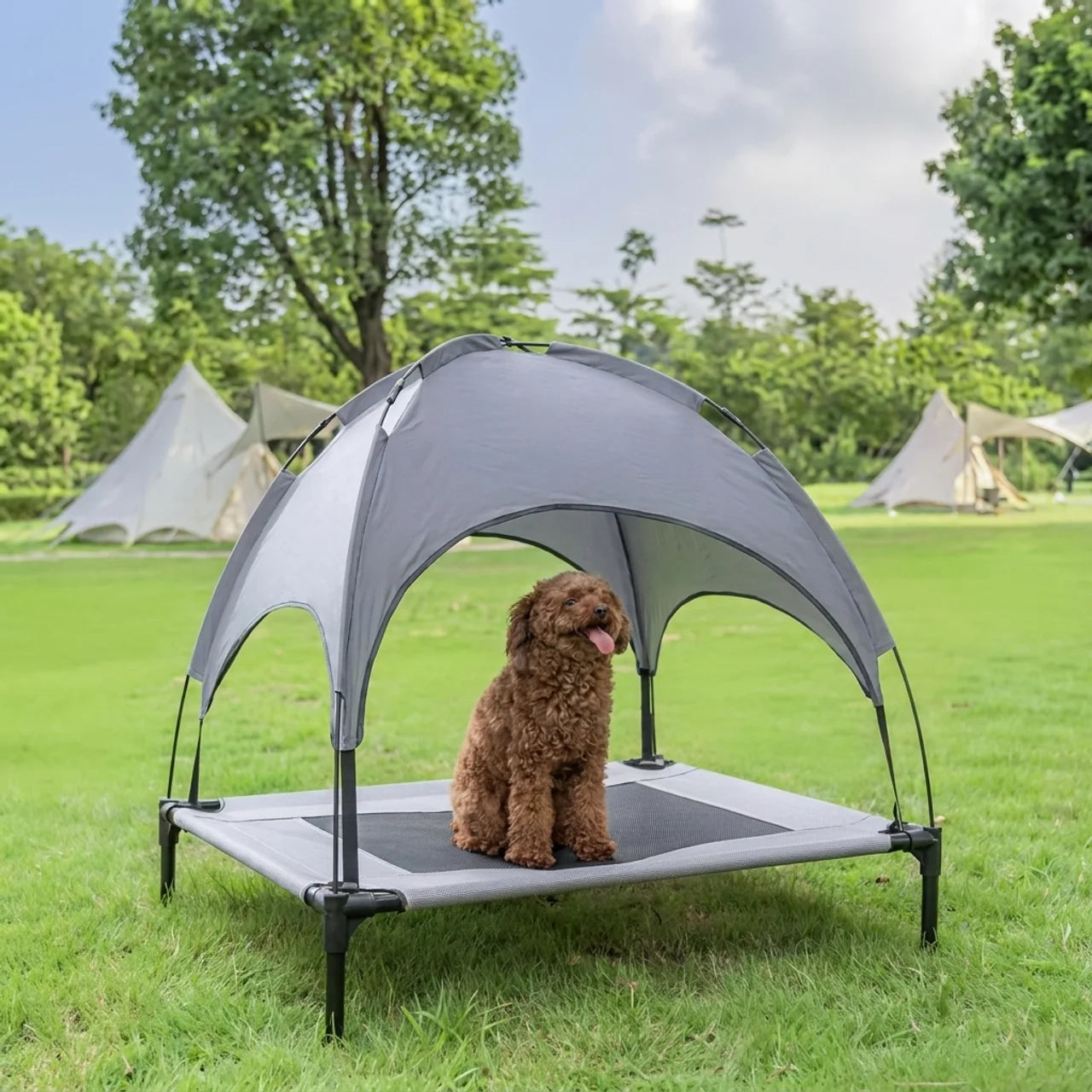 Lit Surélevé pour Chien et Chat avec Auvent Amovible Hamac pour Animaux