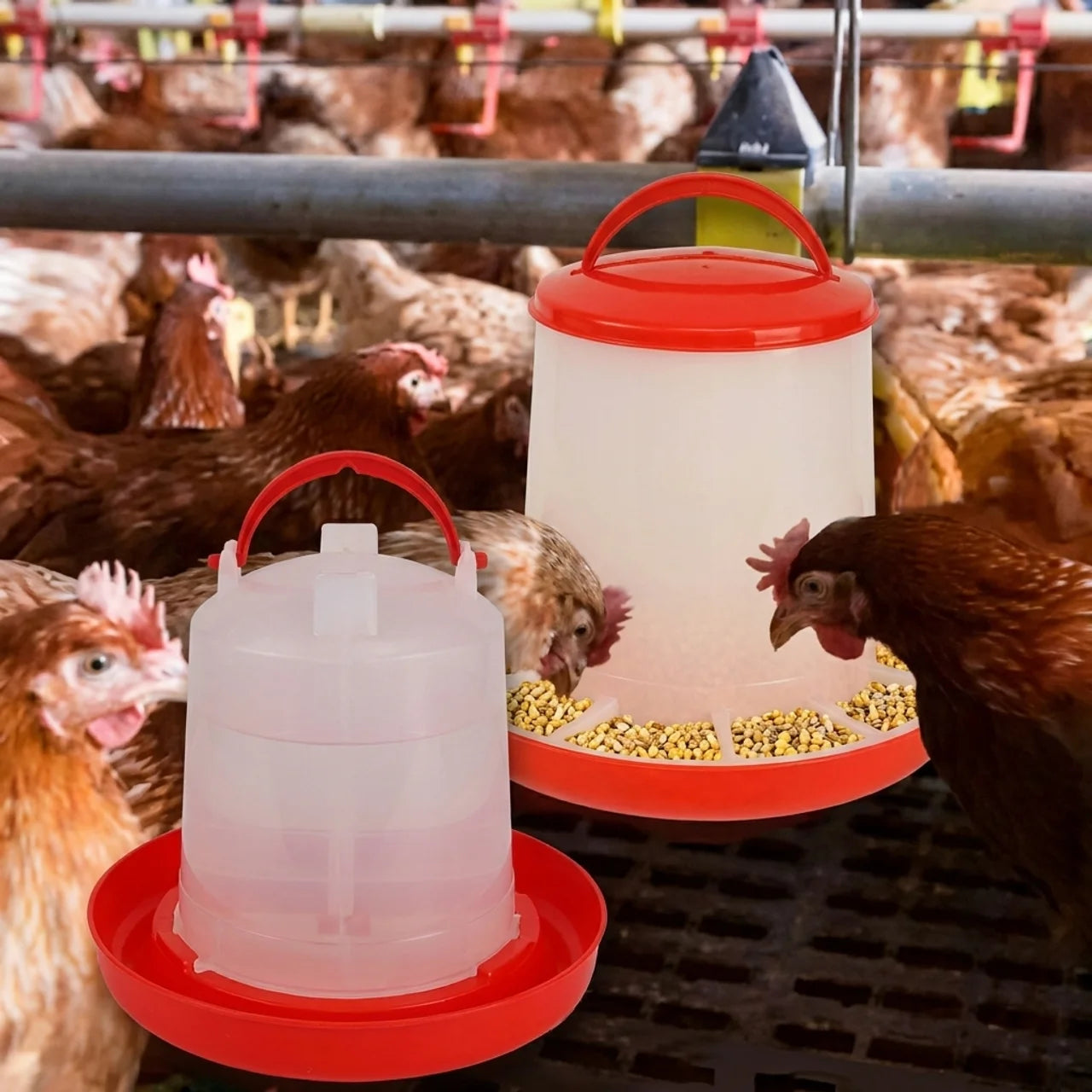Mangeoire et Abreuvoir Pour Poules 3L / 3KG