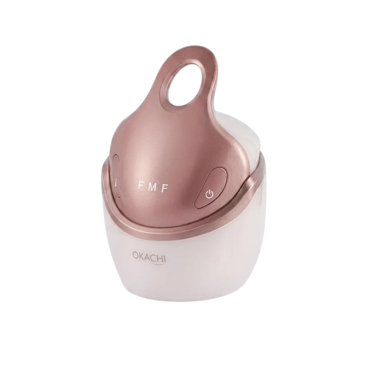 Masseur Facial EMS 5 en 1 Microcourant Vibration et LED