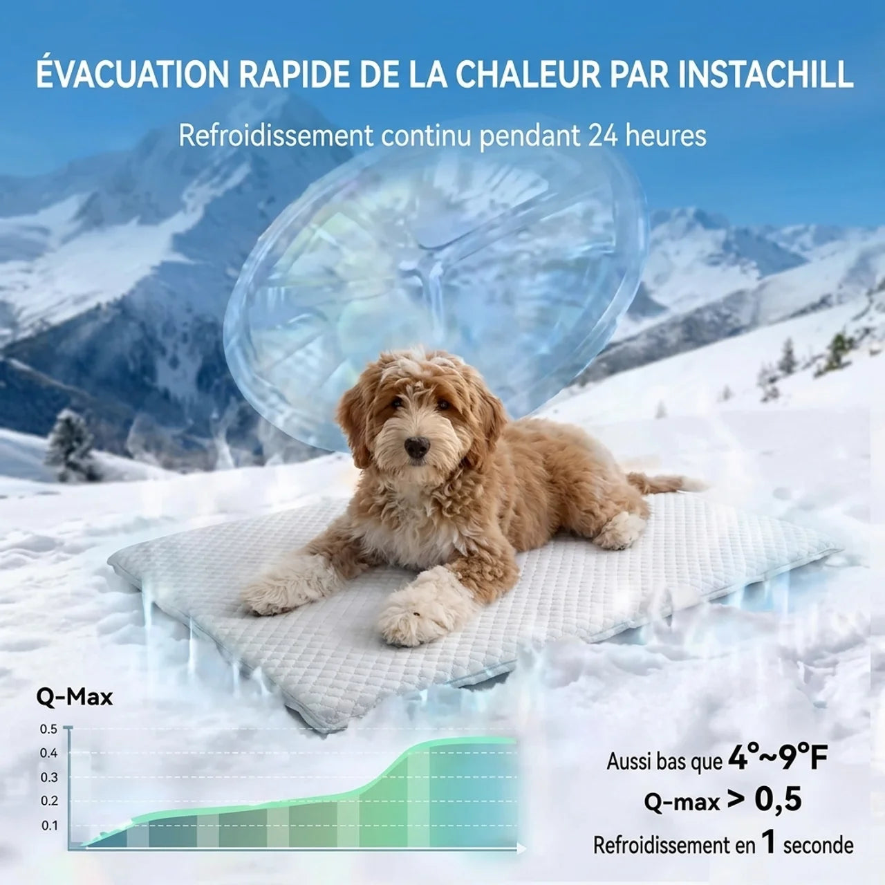 Matelas Rafraîchissant Premium pour Animaux