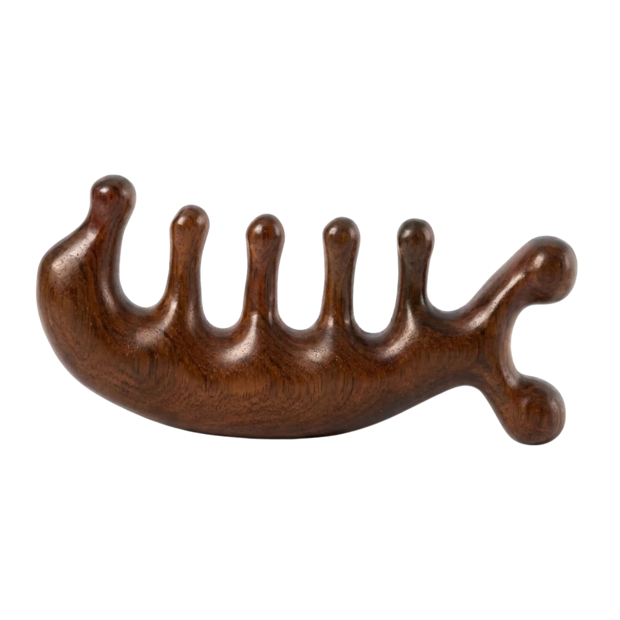 Peigne de Massage en Bois pour Cuir Chevelu Visage & Corps