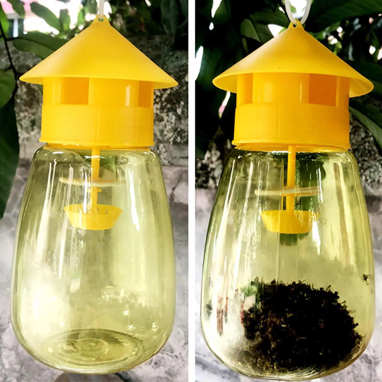 Piège à Mouches des Fruits