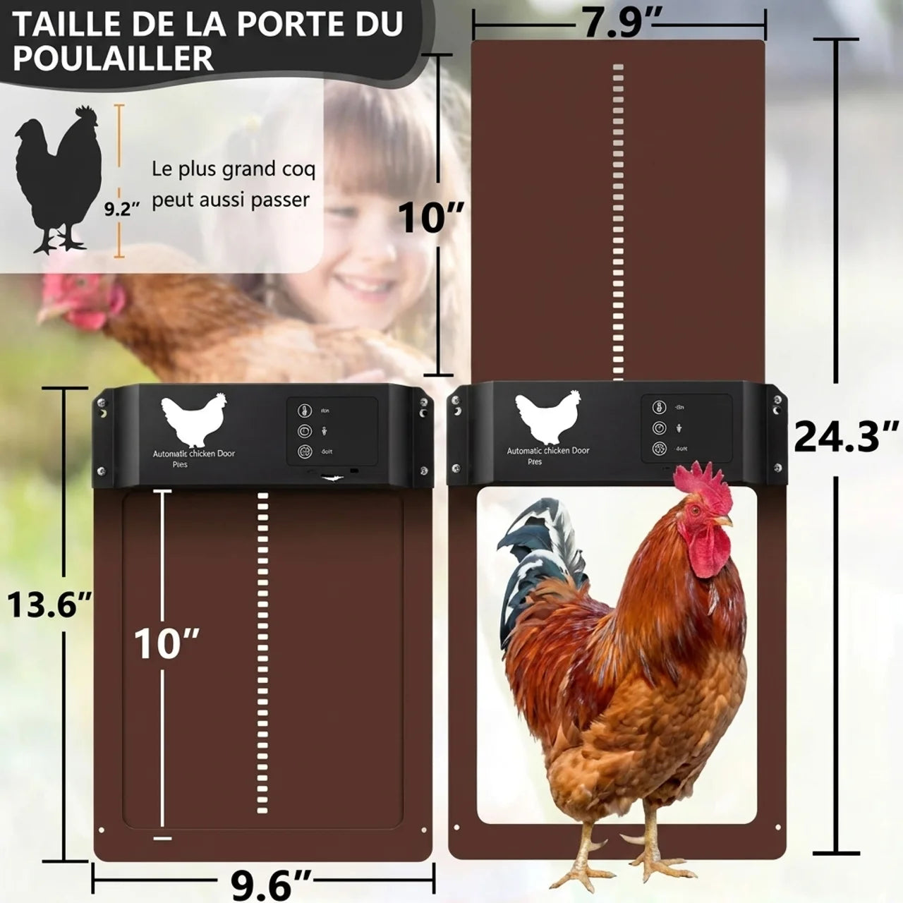 Porte Automatique Pour Poulailler à Capteur de Lumière