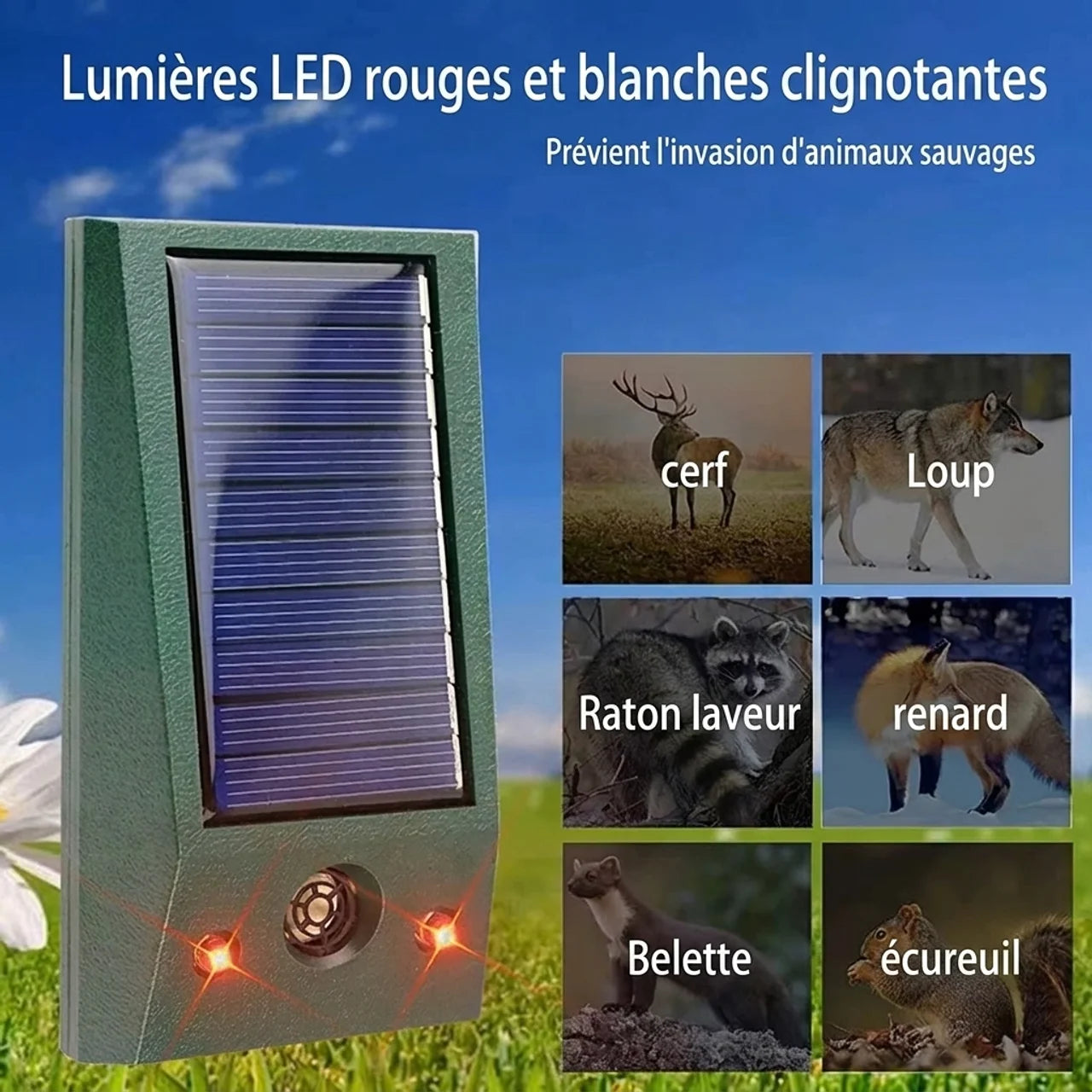 Répulsif Solaire Ultrasonique Anti Animaux