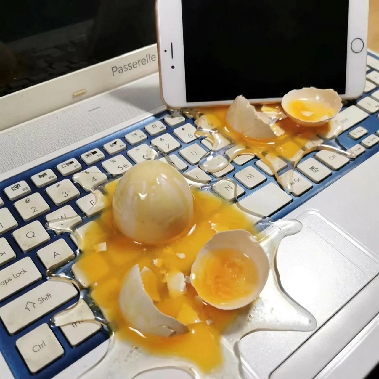Support Téléphone Œuf Explosé
