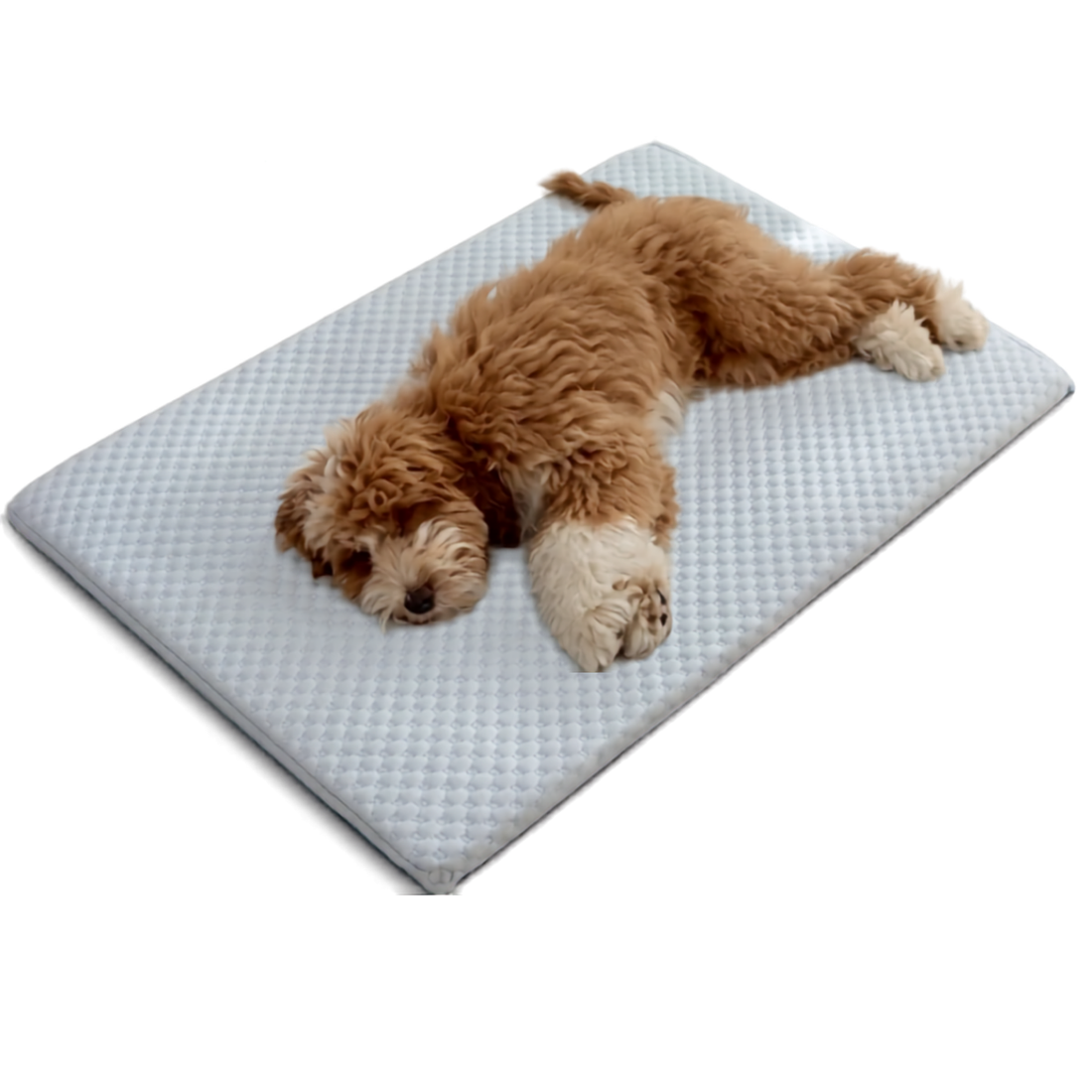 Matelas Rafraîchissant Premium pour Animaux