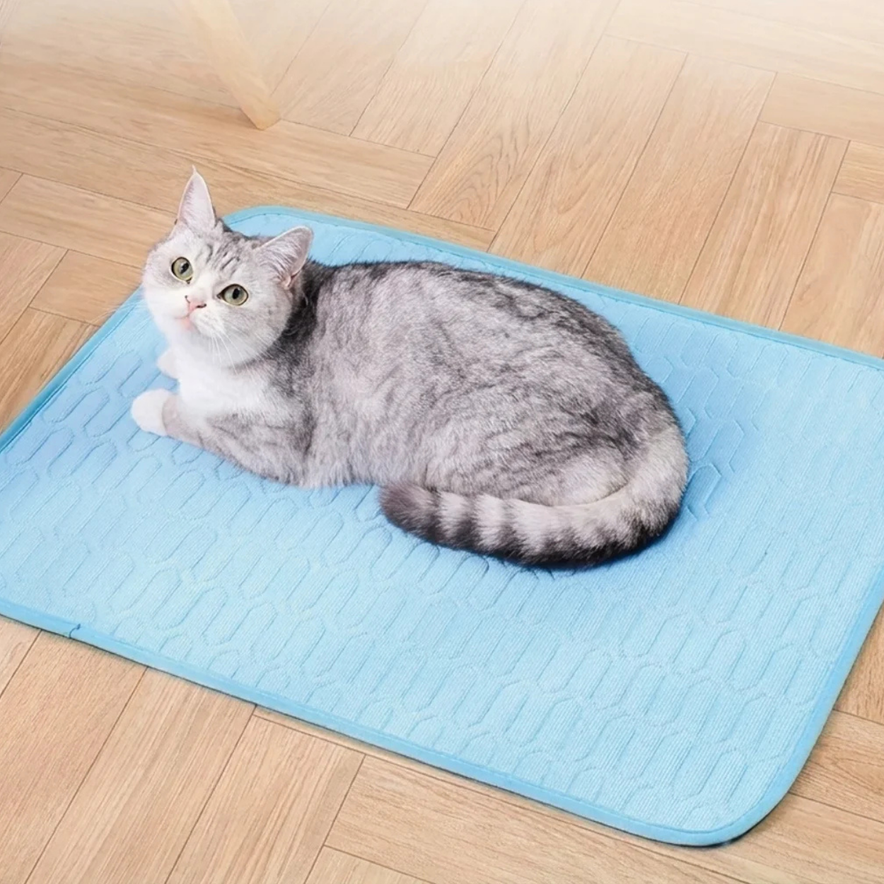Tapis Rafraîchissant Respirant pour Chien et Chat