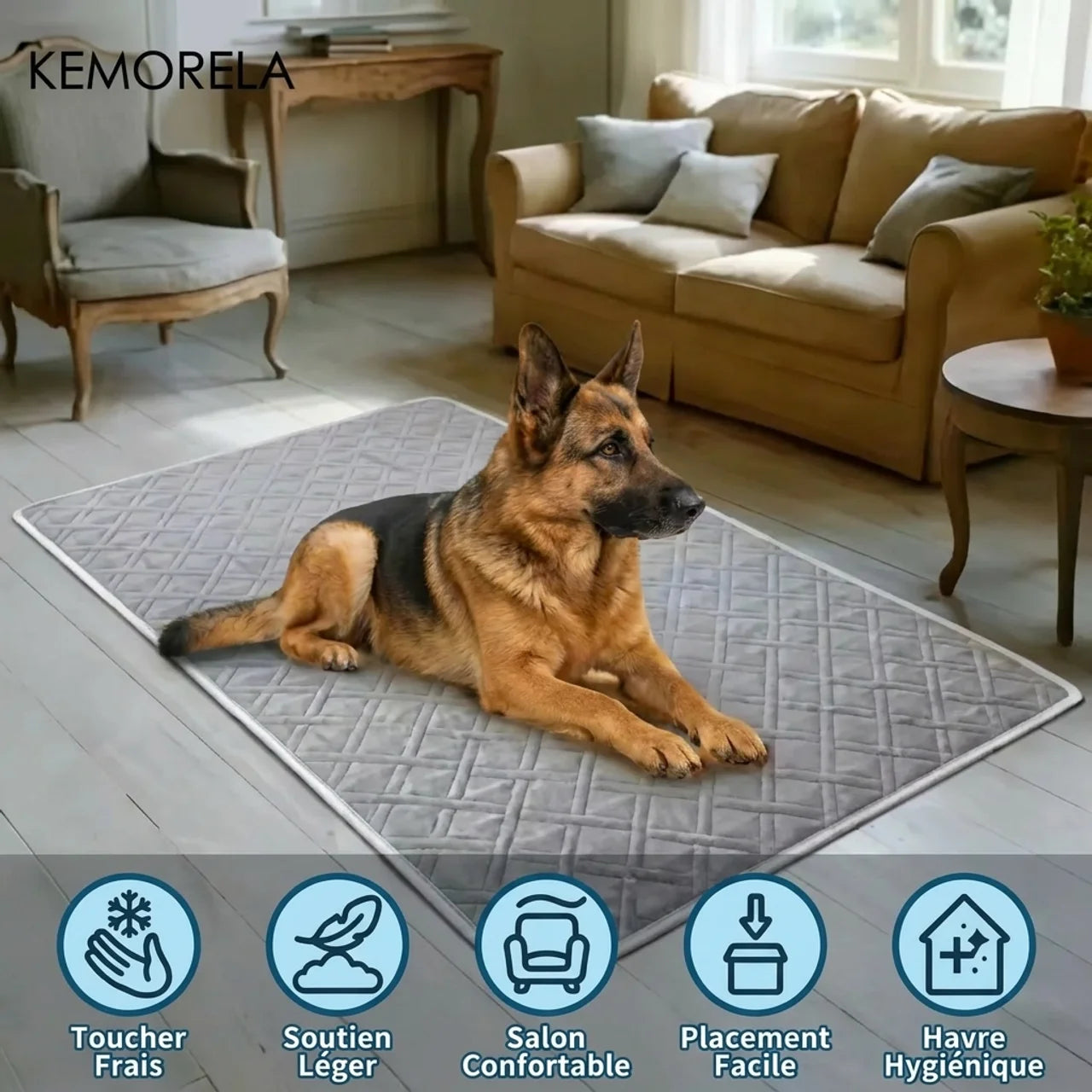 Tapis Rafraîchissant XXL pour Animaux