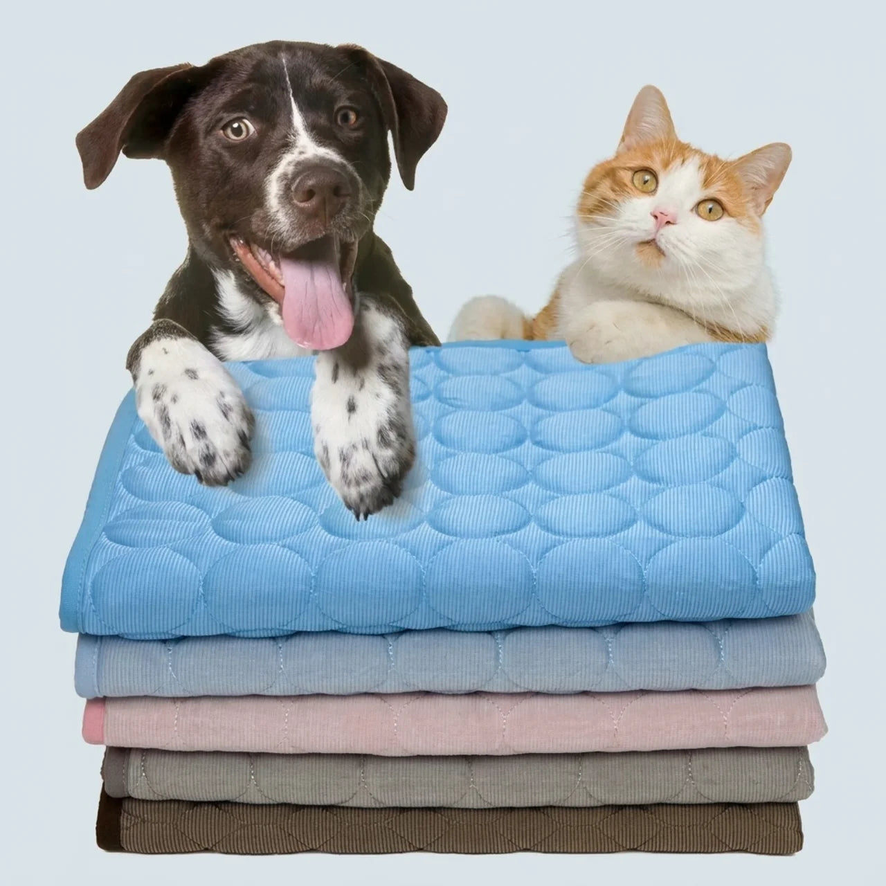 Tapis Rafraîchissant pour Chien & Chat