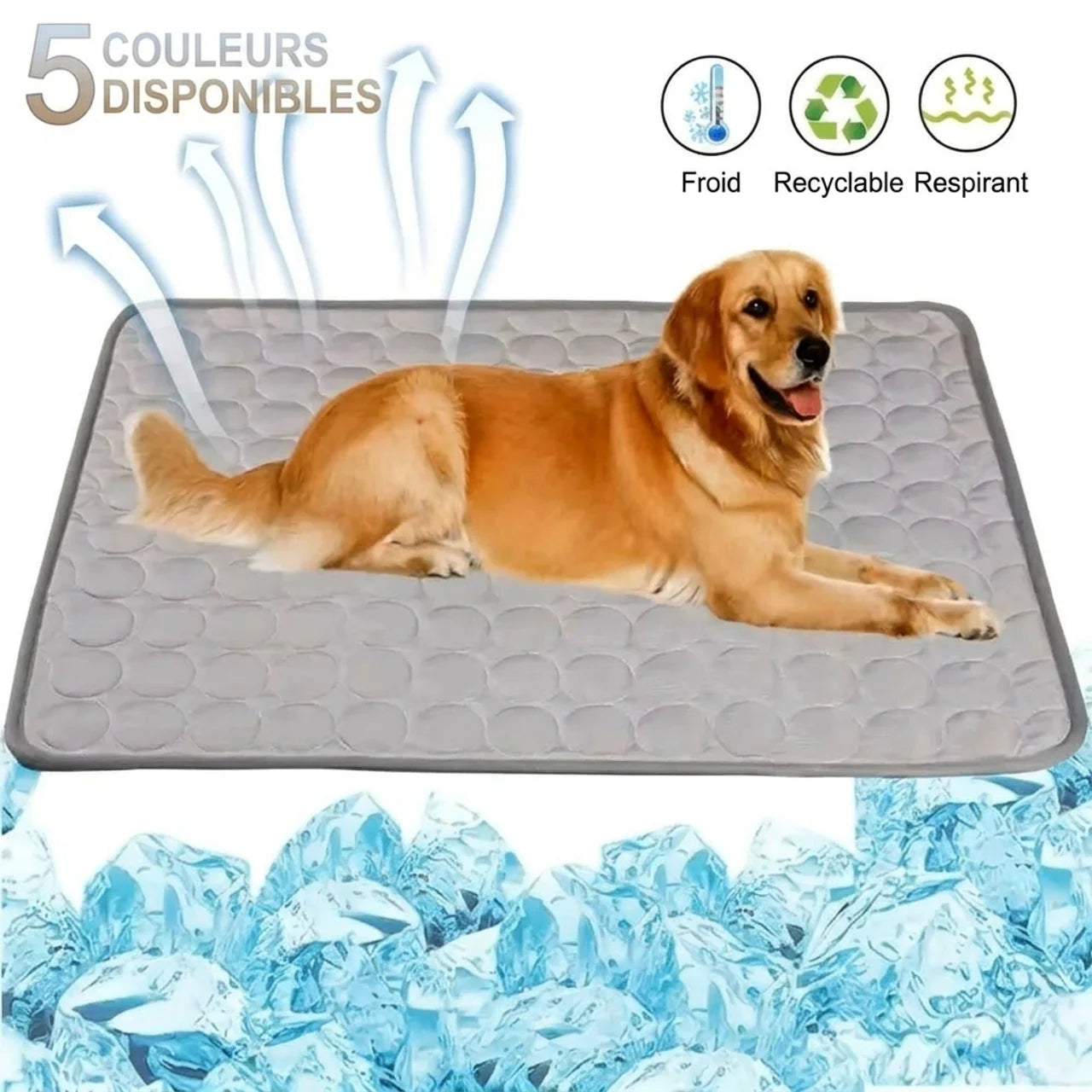 Tapis Rafraîchissant pour Chien & Chat