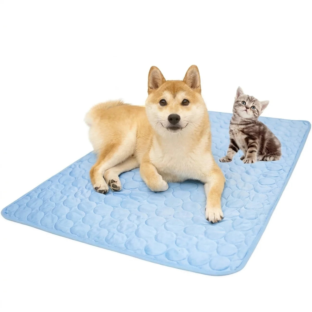 Tapis Rafraîchissant pour Chien & Chat