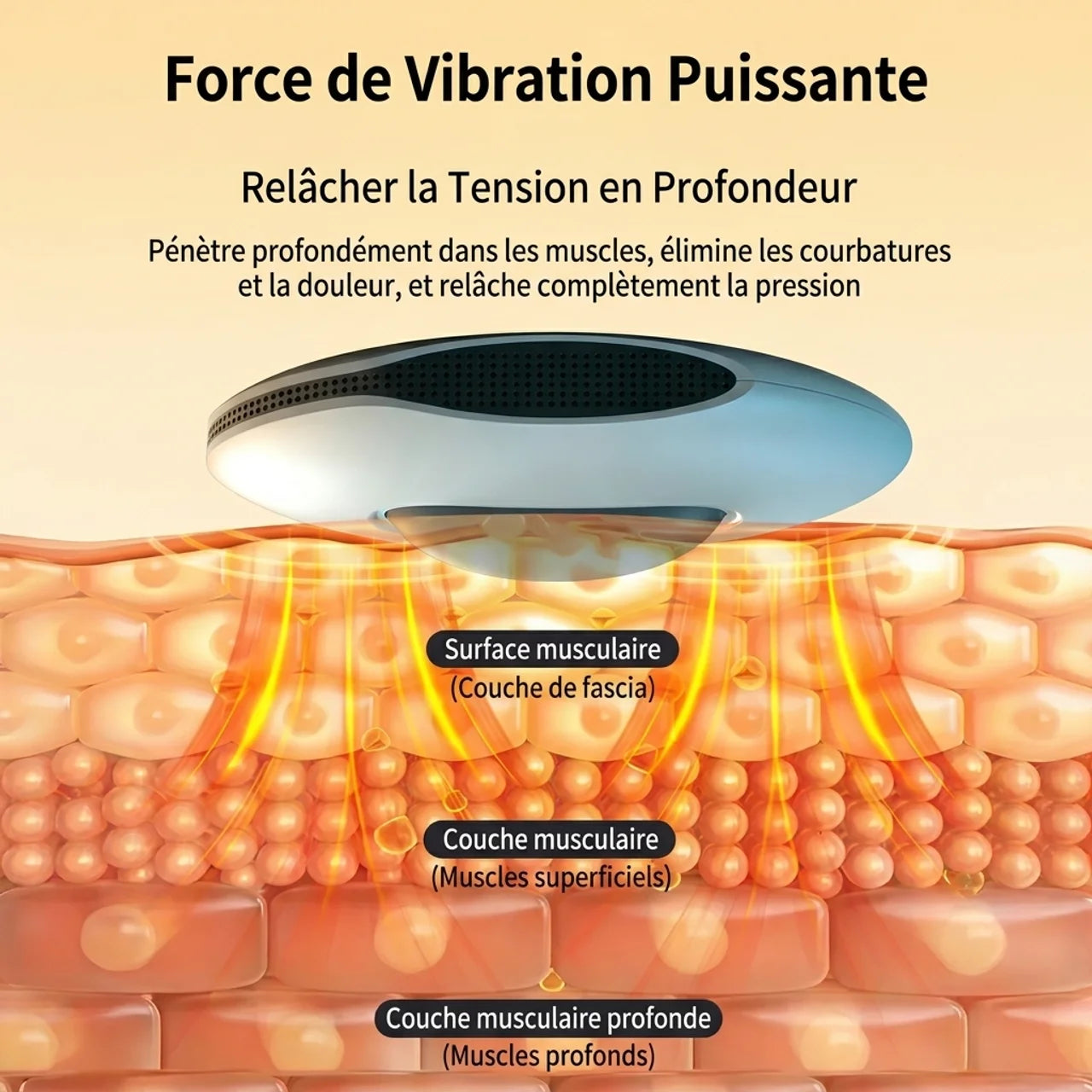 Appareil de Rééducation Périnéale Intelligent